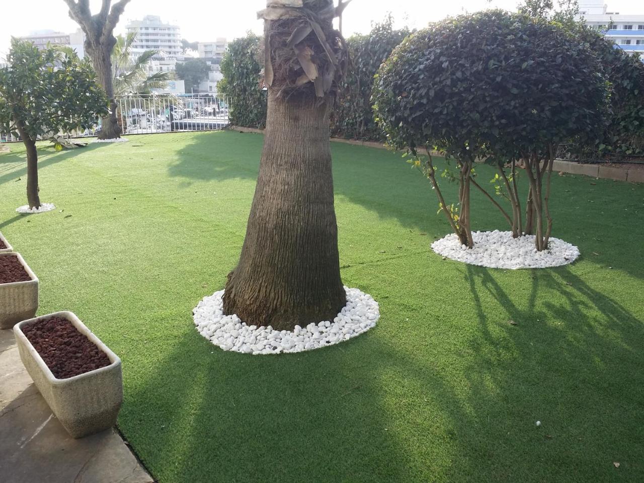 Hotel Bonsol يوريت دي مار المظهر الخارجي الصورة